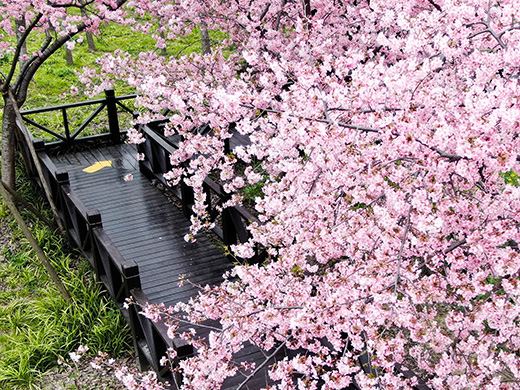 Gucun Park Gucun Park